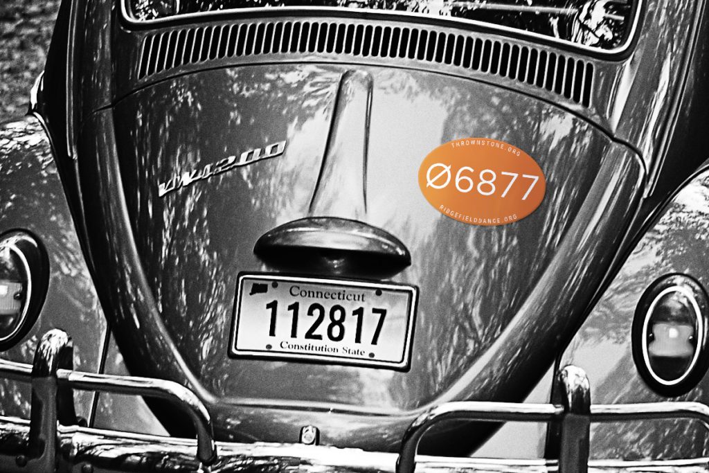 06877 Bumper Magnet