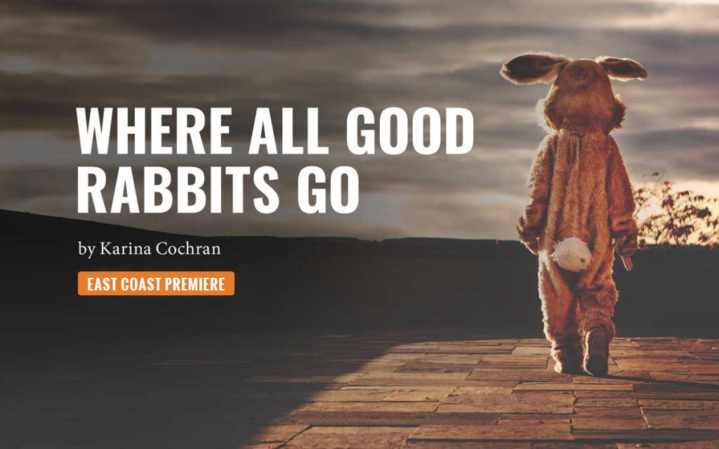 Where All Good Rabbits Go