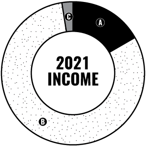 2021 Income