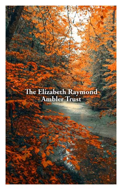 The Elizabeth Raymond Ambler Trust The Elizabeth Raymond Ambler Trust